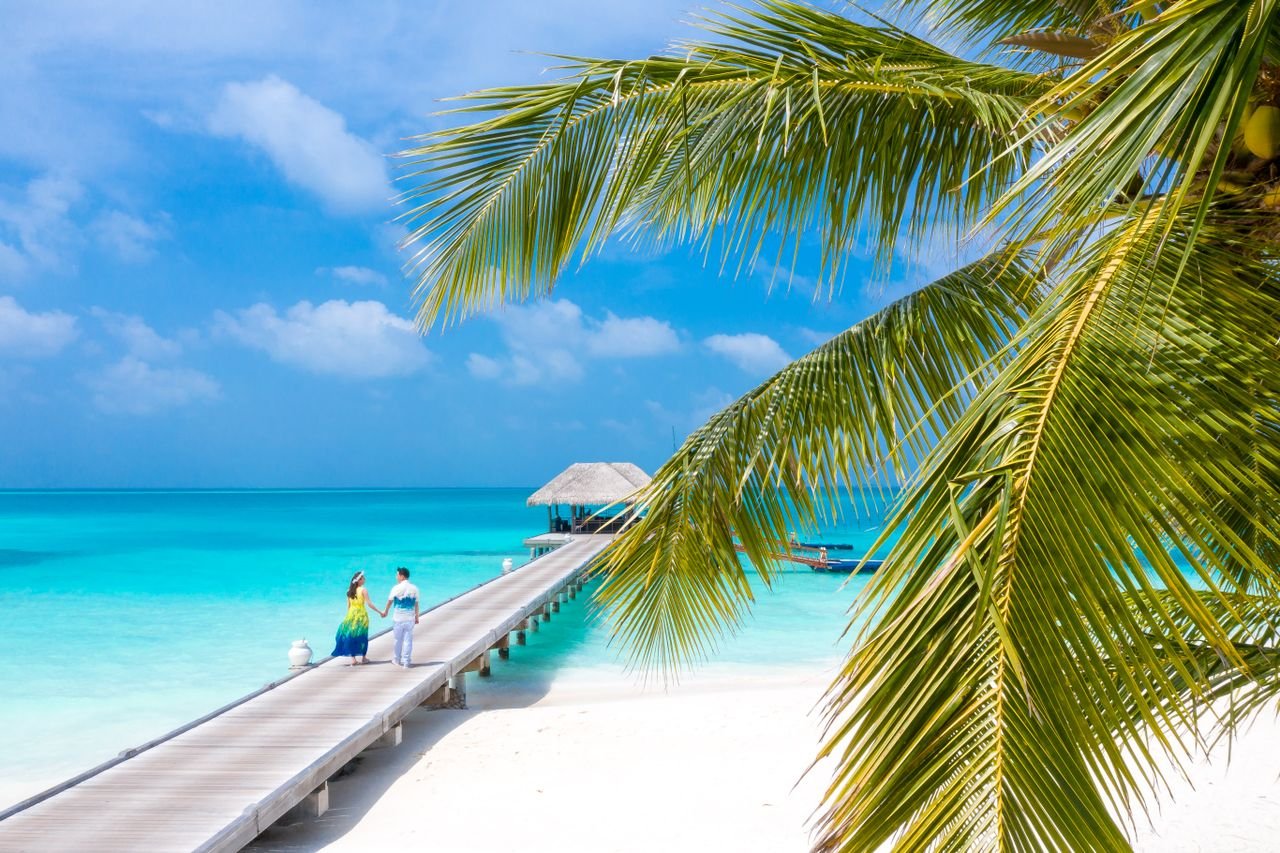 Idyllic view of a tropical beach with palm trees, a wooden jetty, and turquoise sea under a clear blue sky.